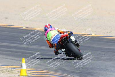 media/Mar-10-2024-SoCal Trackdays (Sun) [[6228d7c590]]/9-Turn 8 Backside (1150am)/